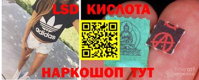 молекула духа Камышлов