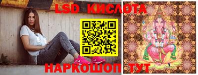 молекула духа Камышлов
