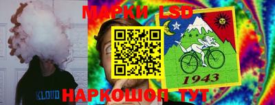 молекула духа Камышлов