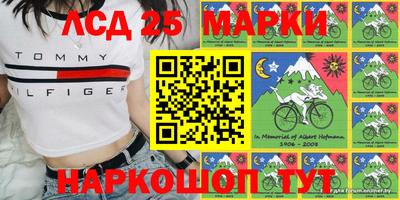 молекула духа Камышлов