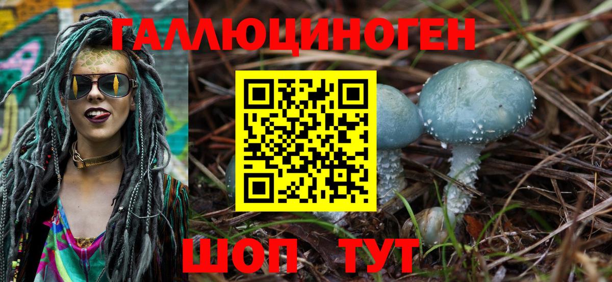 Галлюциногенные грибы Cubensis  Вход с VPN  Димитровград 