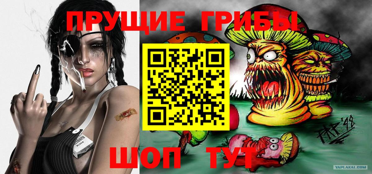Псилоцибиновые грибы прущие грибы Димитровград